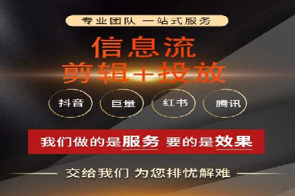 大型企业SEM外包实战案例